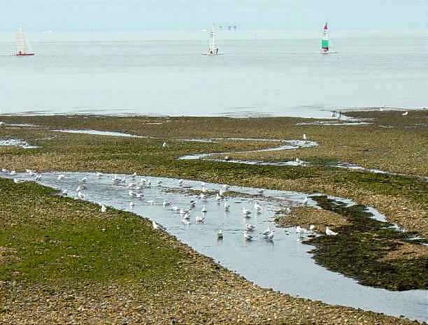 Redsands Fort from Swalecliffe