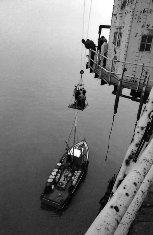 Mallard & Crane Hoist