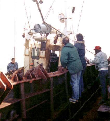 Lister Petter alternator come over the side