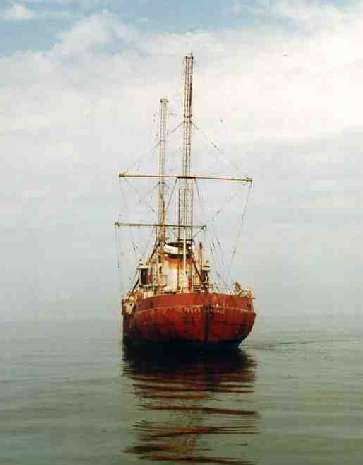 Stern of ross revenge