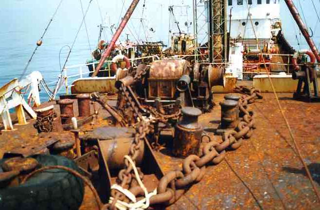 Fore peak anchor chain
