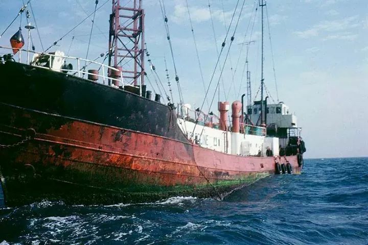 Mi-Amigo in 1978