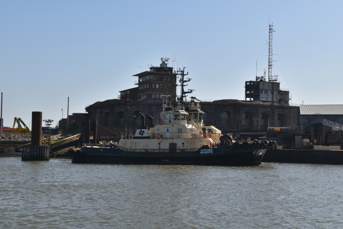 Switzer Intrepid