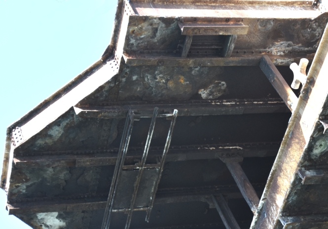 Underside