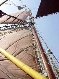 Greta sails