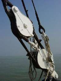 Greta Pulley's