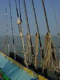 Greta rigging