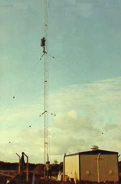 Antenna guys