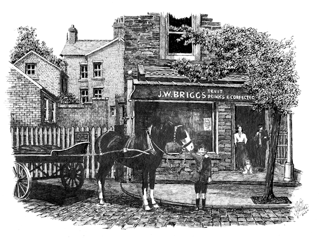 Janet Briggs Shop Janet Briggs Shop