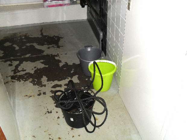 Bucket and throw line