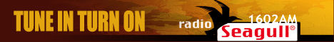 Seagull Tune In Logo