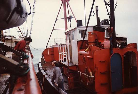 Howard Beers tender
