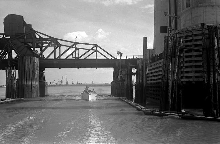 Kitty at Old Kings Ferry Bridge