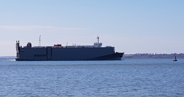 Car transport RoRo