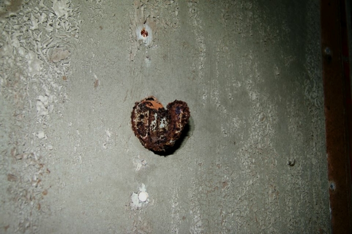 Officers Sleeping rusty nail or love heart