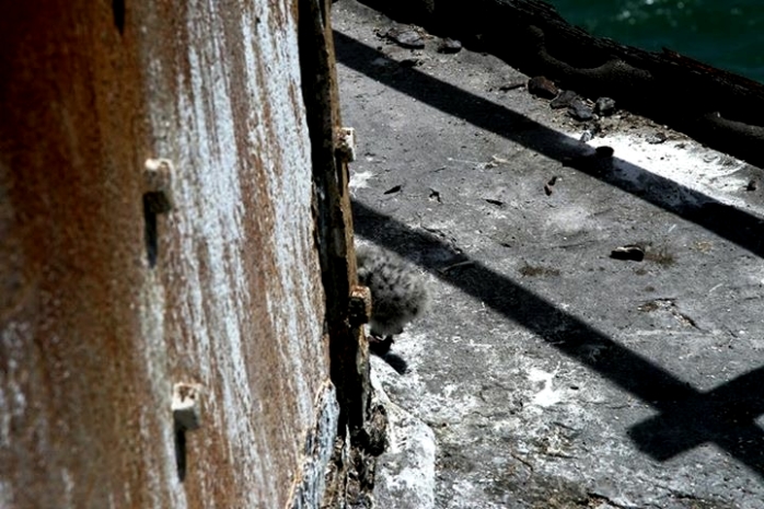 Walkway from bottom level door Walkway from bottom level door