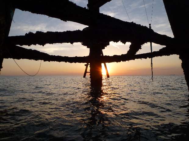 Below G1 at low tide 2